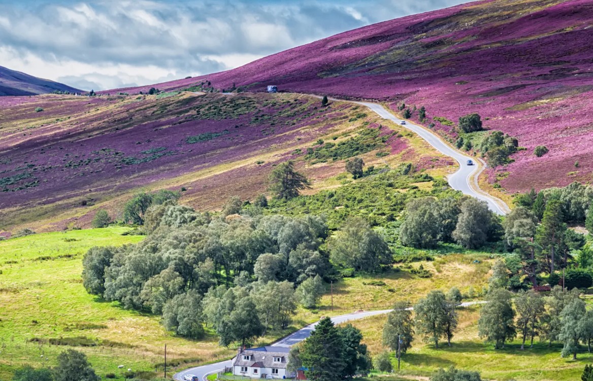 QA Testing Environment